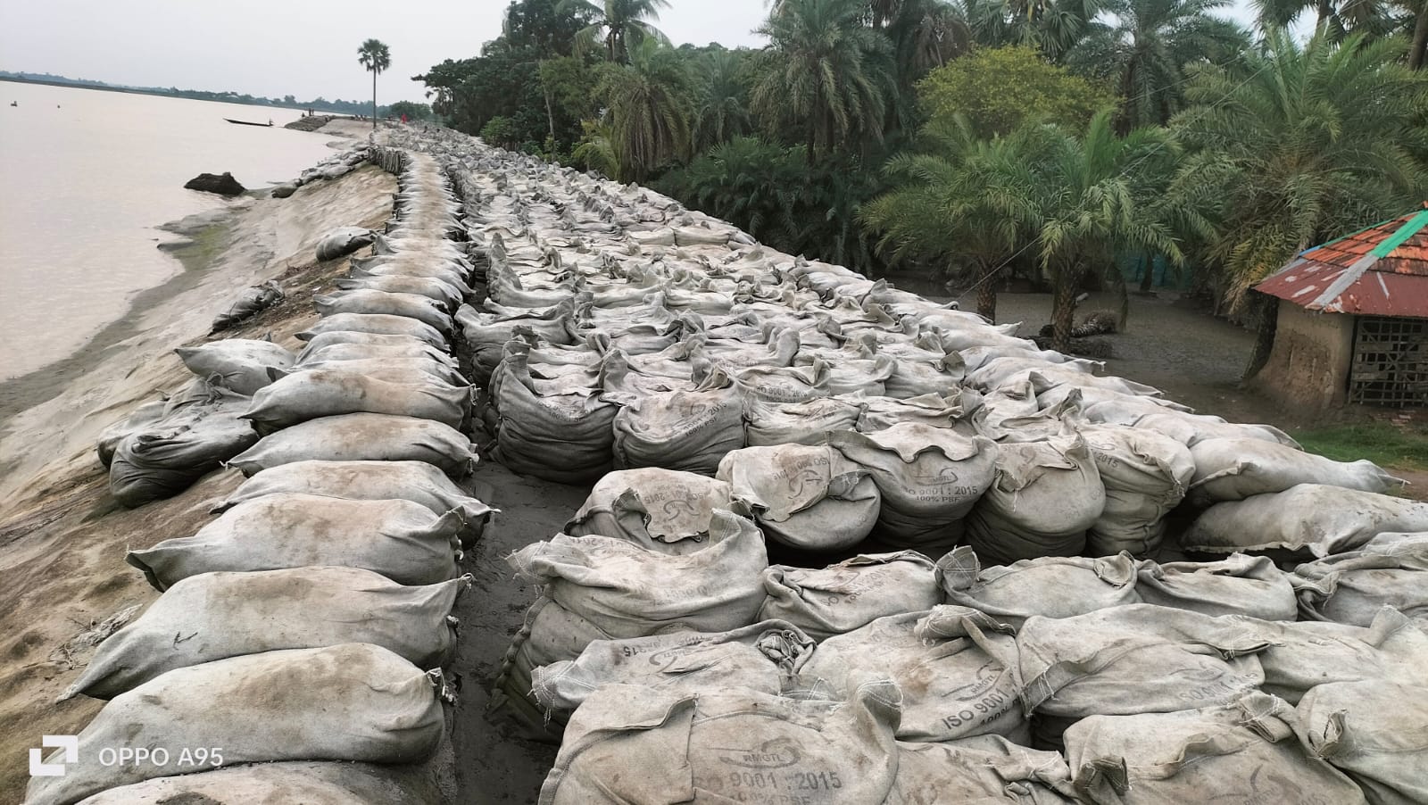 সাতক্ষীরার আশাশুনিতে বাঁধ রক্ষার সরকারি বালুর বস্তা চুরি আটক যুবদল নেতাকে ছেড়ে দেওয়ার অভিযোগ