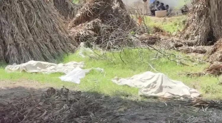 দুই যমজ ছেলেকে গলা কেটে হত্যার অভিযোগ, মা গ্রেপ্তার