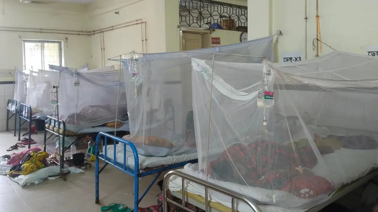 সাতক্ষীরায় ডেঙ্গুতে এক দিনে ভর্তি ১২