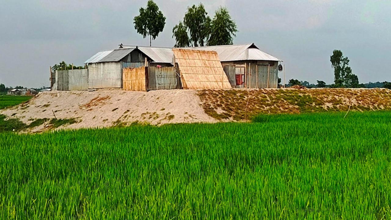 দেশে খাদ্য নিরাপত্তার ঝুঁকি বাড়ছে