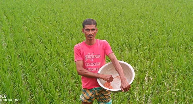 বিষে বিষাক্ত কৃষি! উচ্চঝুঁকির বালাইনাশকে বিপন্ন সাতক্ষীরা
