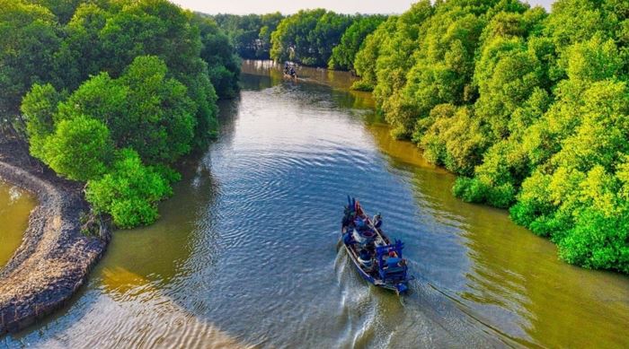 বেড়েছে বন্য প্রাণীর বিচরণ, তিন মাসের নিষেধাজ্ঞায় সুন্দরবনে কমেছে মানুষের চাপ