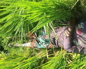 শ্যামনগরে ধানক্ষেত থেকে নিখোঁজের চার দিন পর মরদেহ উদ্ধার